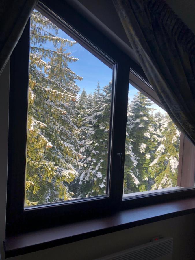 Borovets Forest View Kültér fotó