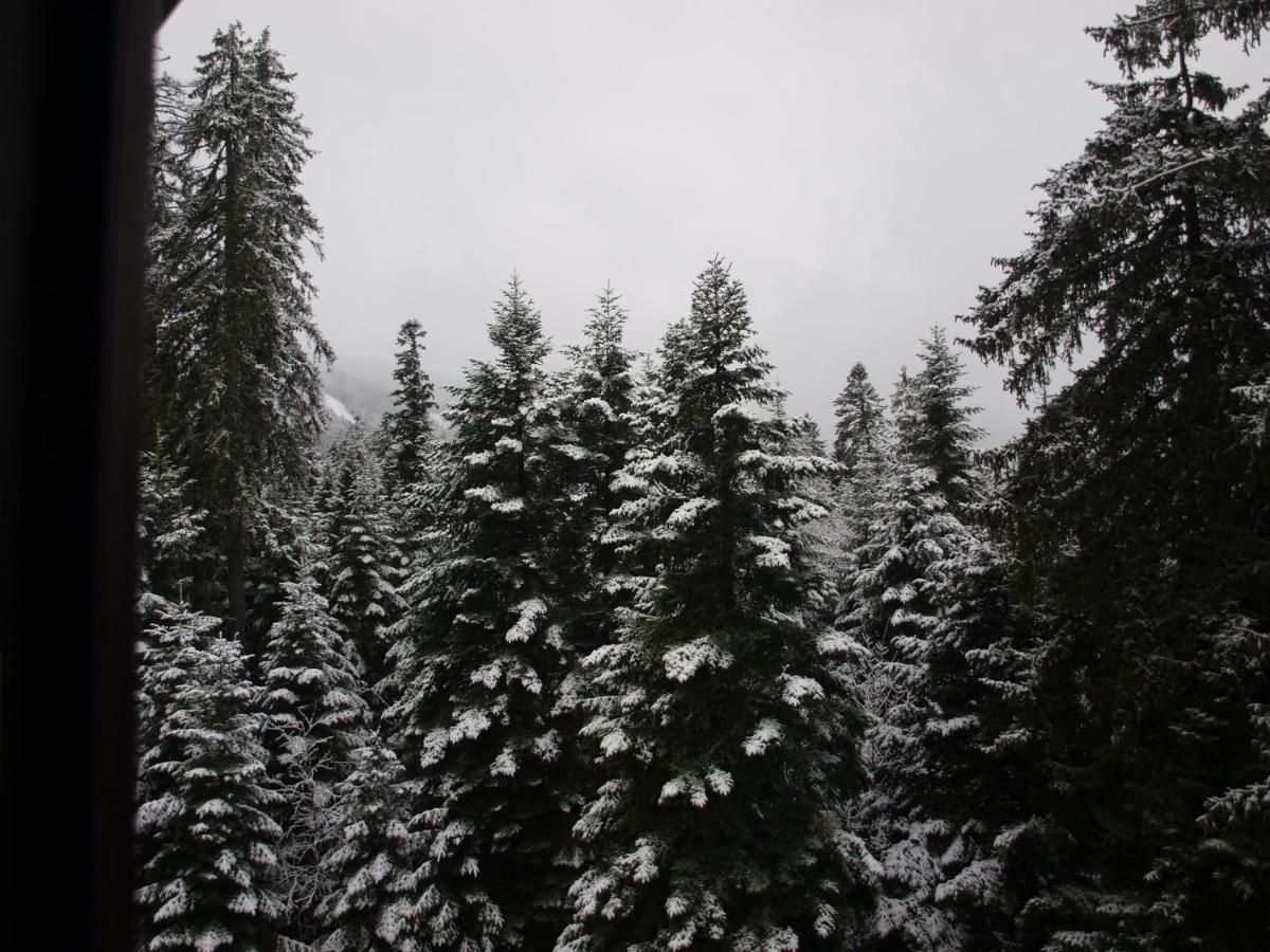 Borovets Forest View Kültér fotó