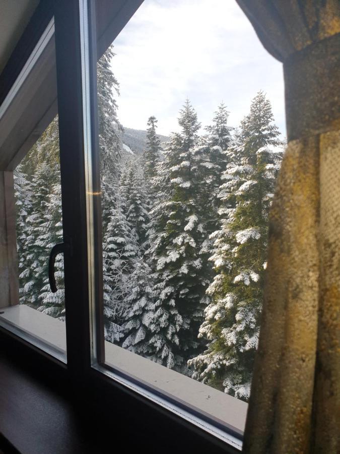 Borovets Forest View Kültér fotó